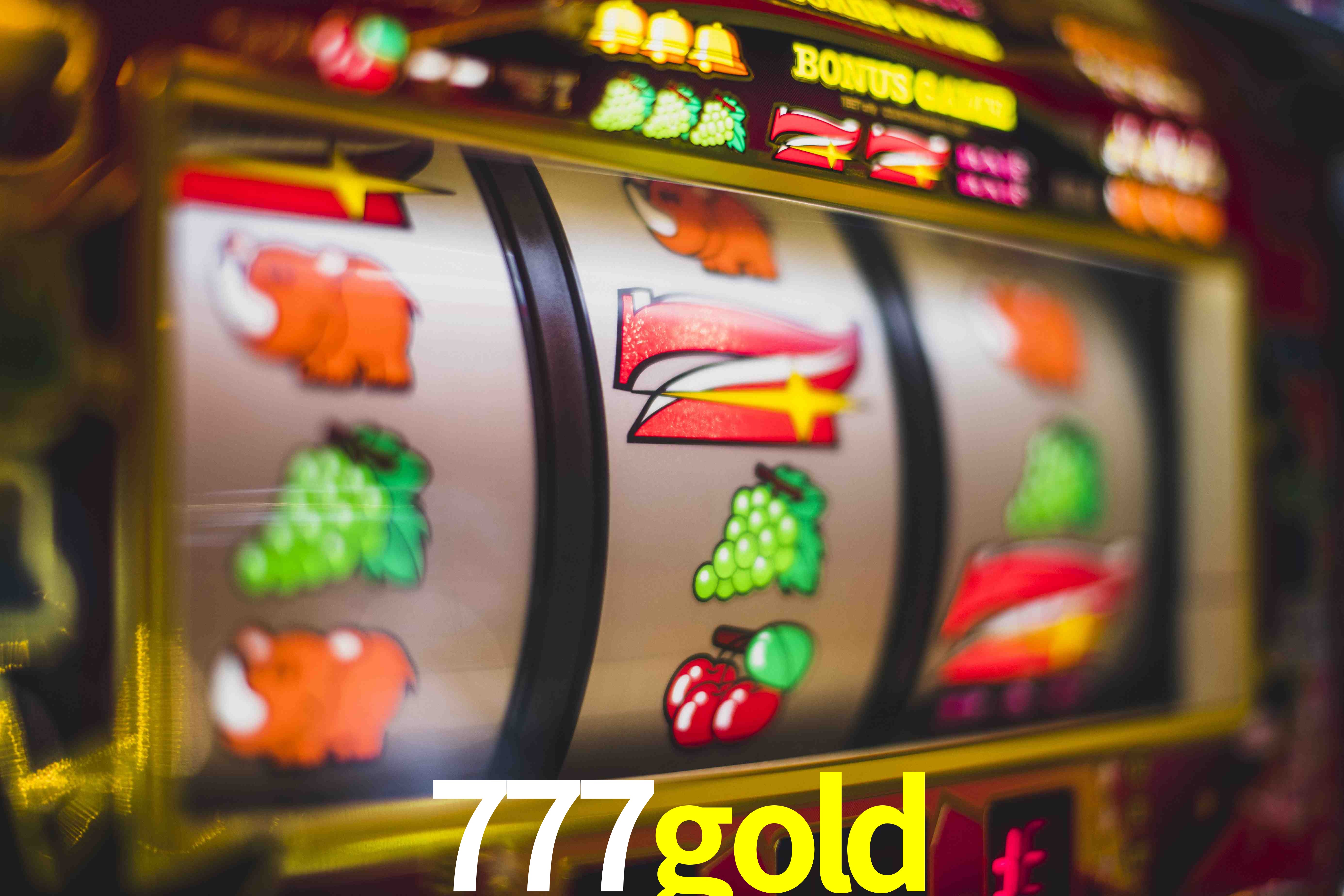 Sports Statistics 777gold